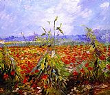 Vincent van Gogh A Field With Poppies painting